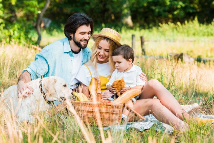 Vamos al campo: prepara una merienda al aire libre